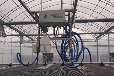 Cásanna Úsáide Allamuigh san Afraic Theas