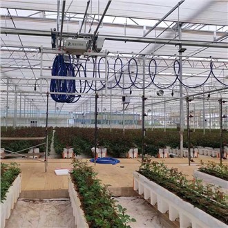 Borradh Irrigaion Cheaptha Teasa