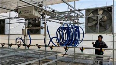 Borradh Uisce Do Phlandlanna Plandaí Óga