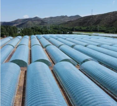 Cold Area Film Solar Air Wall Greenhouse Active Heat Storage And Release