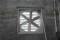 Trealamh Fuarú Cheaptha Teasa Aerála Sceite Fan Fuarú Fan Le haghaidh Ceaptha Teasa Talmhaíochta Do Feirme Éanlaithe